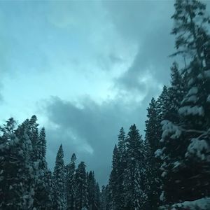 Meet your Posher, Wyatt