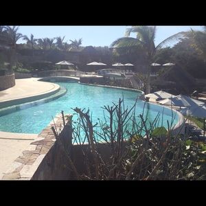 Meet your Posher, Deborah