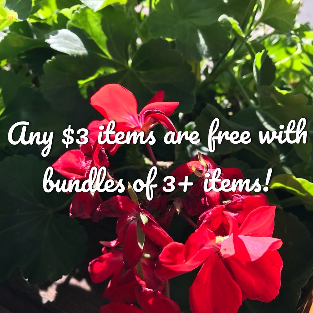Any $3 items are free with bundles of 3+ items!