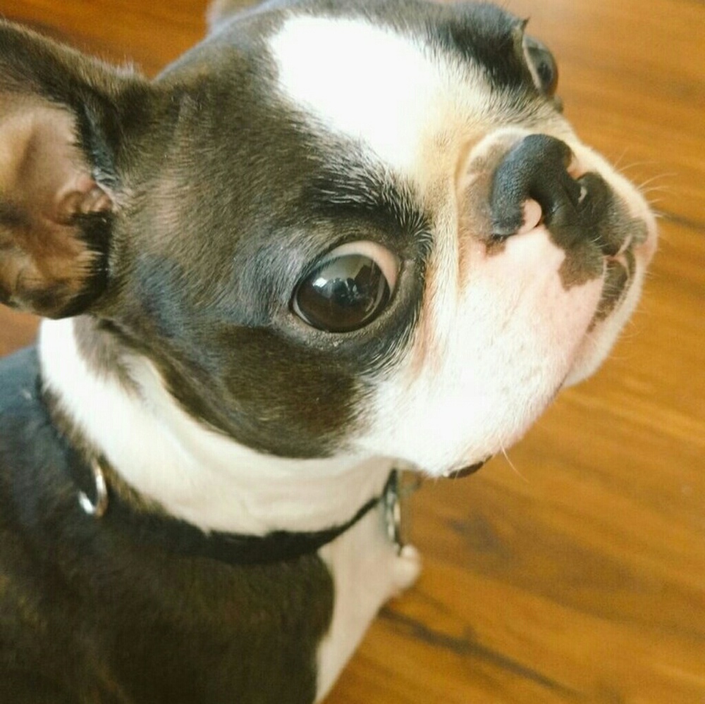 Meet your Posher, Jeannine