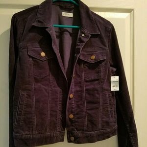 GAP 1969 corduroy jacket