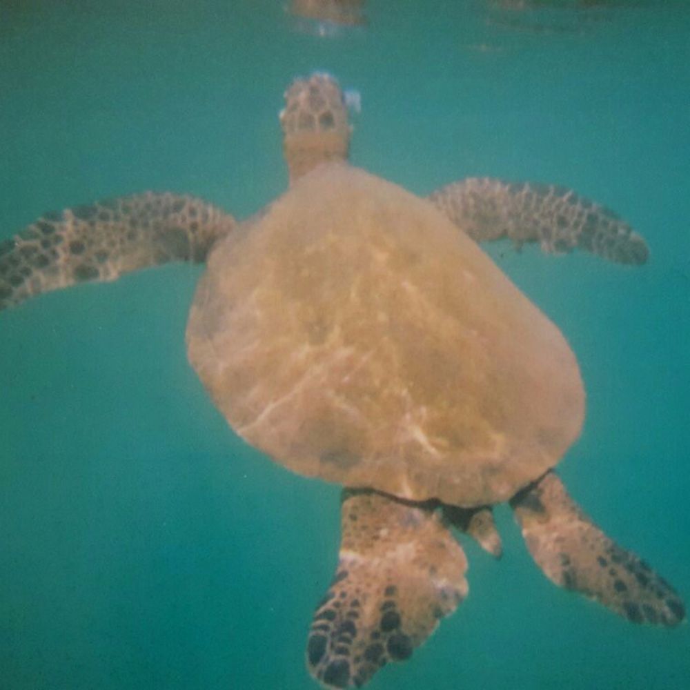 Meet your Posher, Kathryn