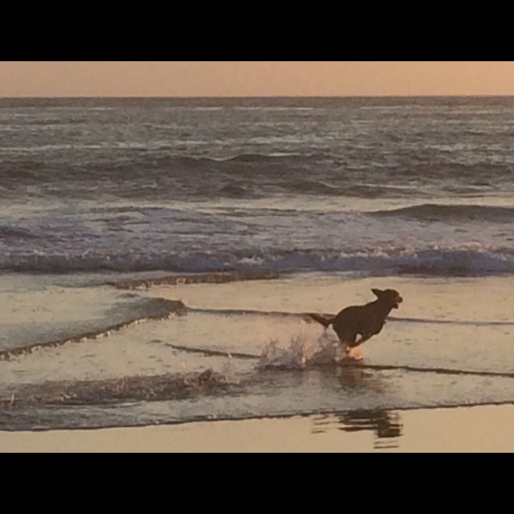 Meet your Posher, Carrie