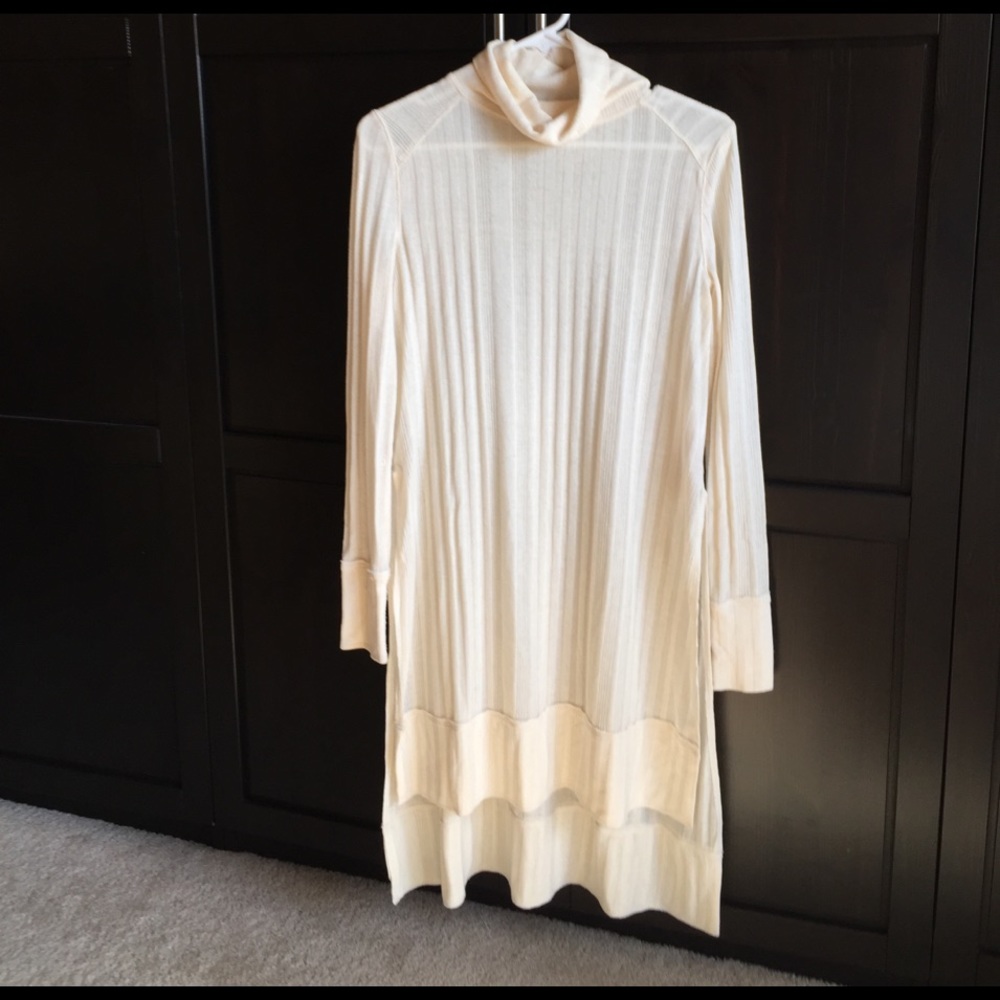 Free People Long Tunic Sweater