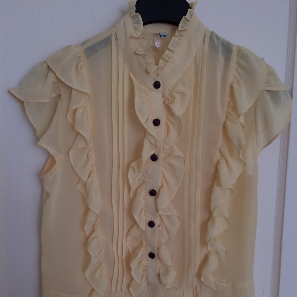 Sheer Blouse