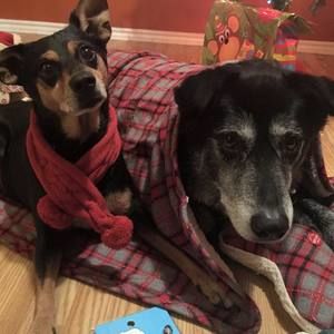 Meet your Posher, Lori