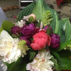 Meet your Posher, Paula