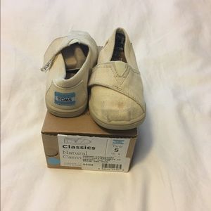 Canvas toddler TOMS size 5