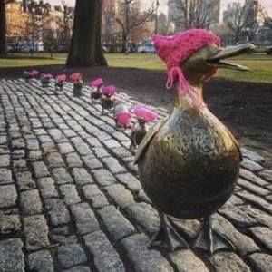 Meet your Posher, William