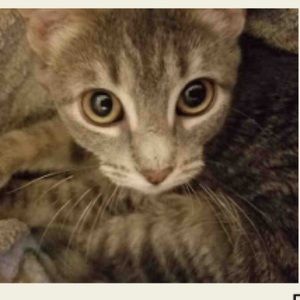 Meet your Posher, Yuki
