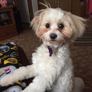 Meet your Posher, Carole