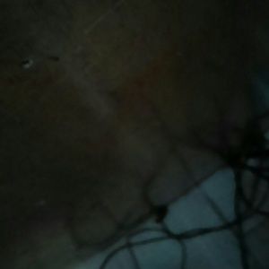 Meet your Posher, Rosemary