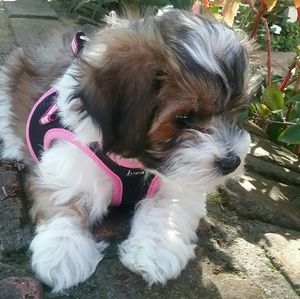 Meet your Posher, Doris