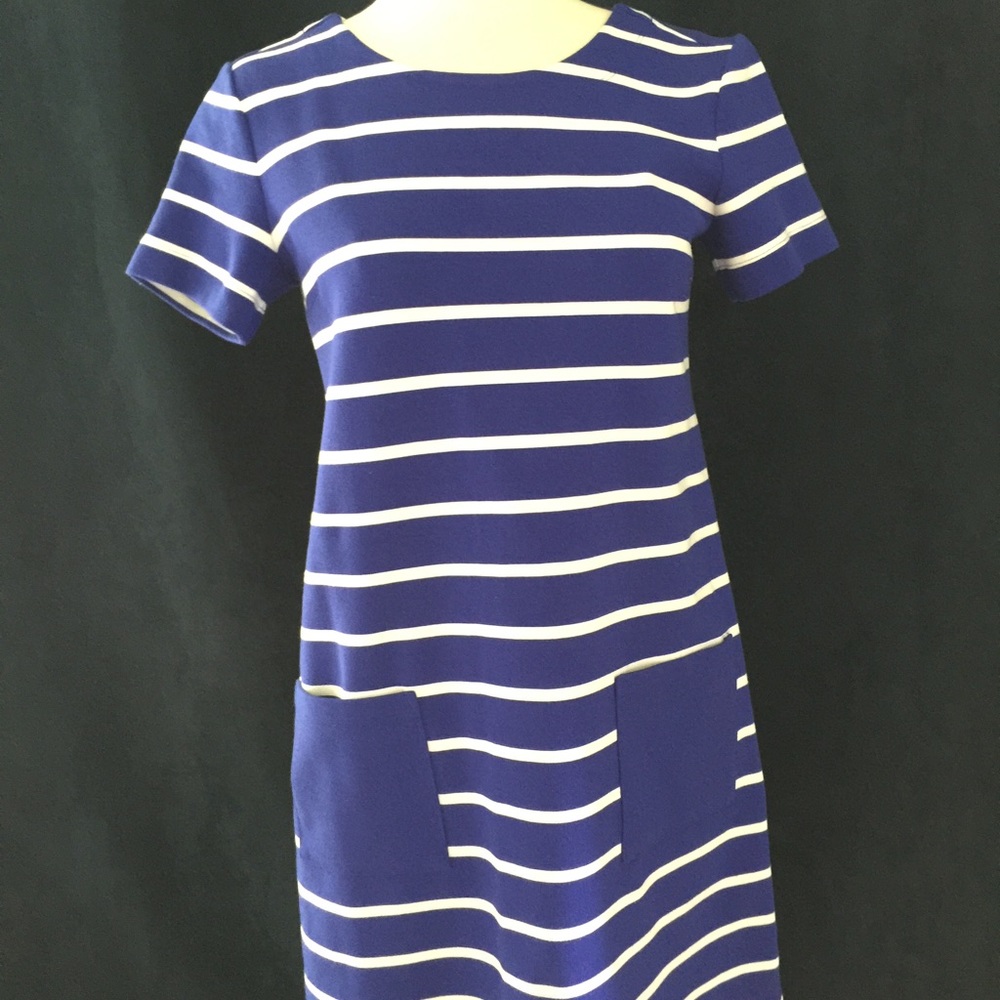 Short sleeve blue and white stripe dress