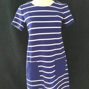 Short sleeve blue and white stripe dress