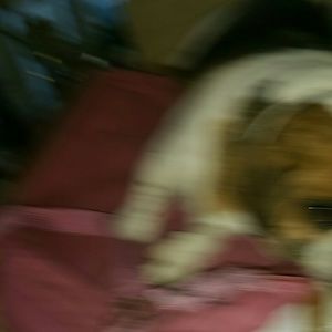 Meet your Posher, Louise