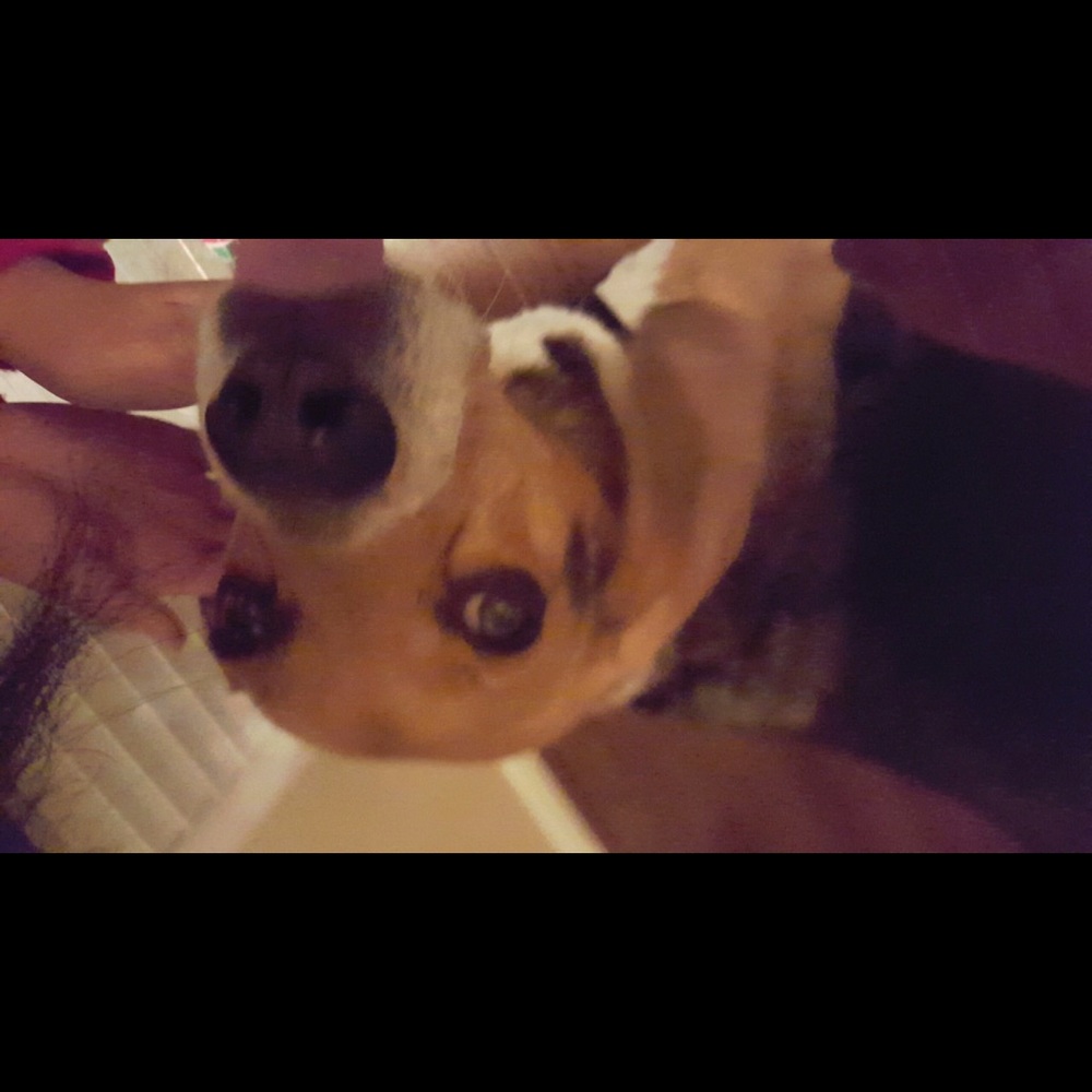 Meet your Posher, Kana