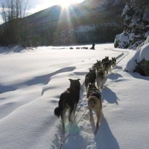 Meet your Posher, Donna