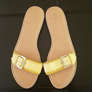 Yellow slides