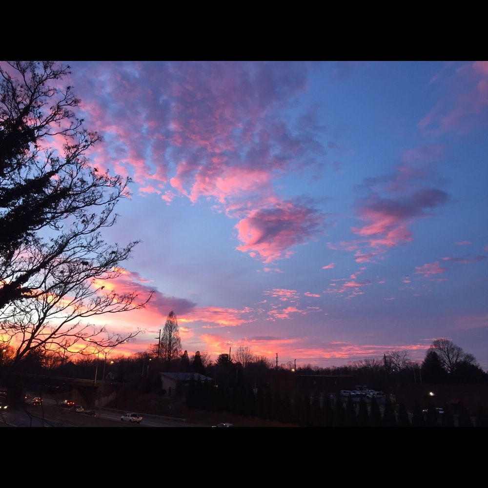 Meet your Posher, Jocelyn