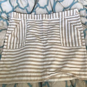 Ann Taylor Loft Plus Size Skirt