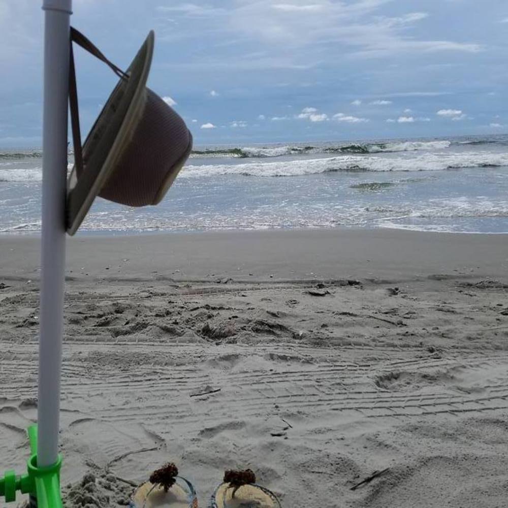 Meet your Posher, Sheila