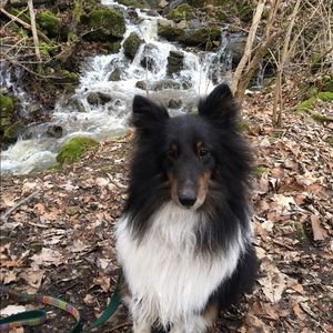 Meet your Posher, Anita