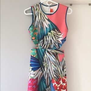 Clover Canyon Neoprene Dress