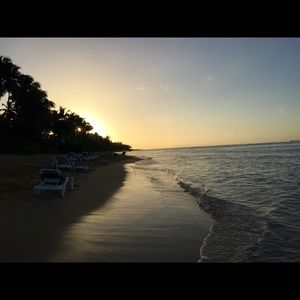 Meet your Posher, Jes