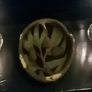 Meet your Posher, Beverly