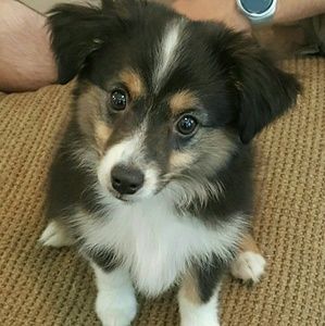 Meet your Posher, Meagan