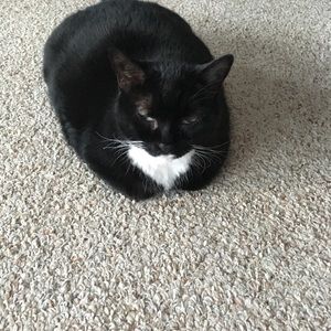 Meet your Posher, Amy