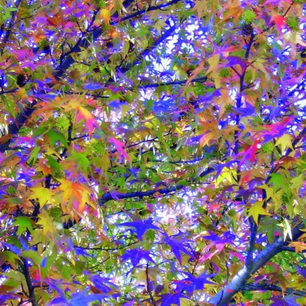 Meet your Posher, Becca