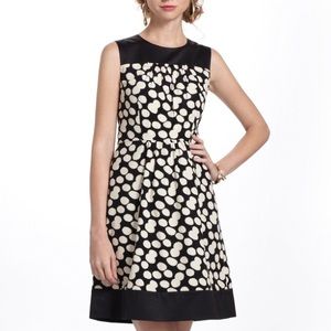 Anthropologie Leifsdottir Black Polka Dot Dress