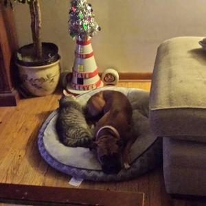 Meet your Posher, Brooklyn