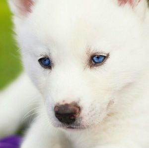 Meet your Posher, Elaine