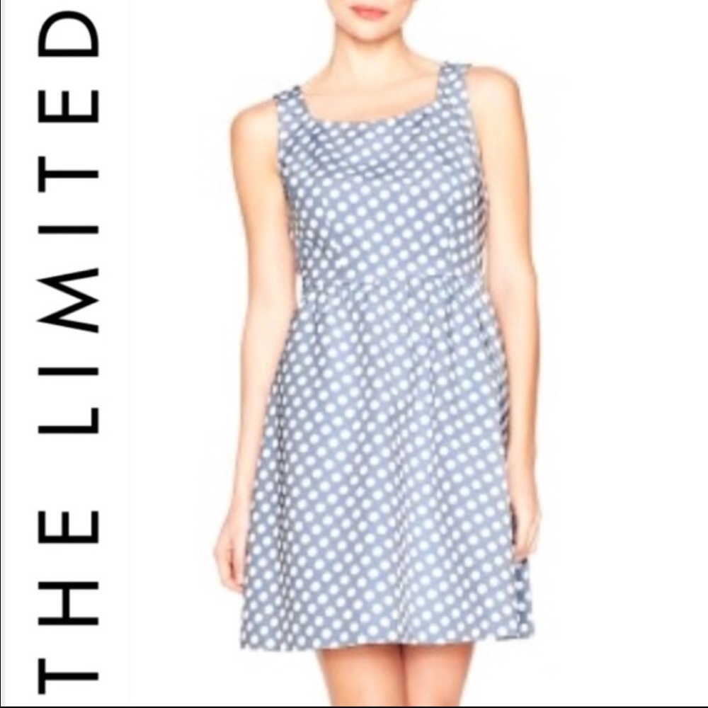 The Limited Polka dot A-line dress
