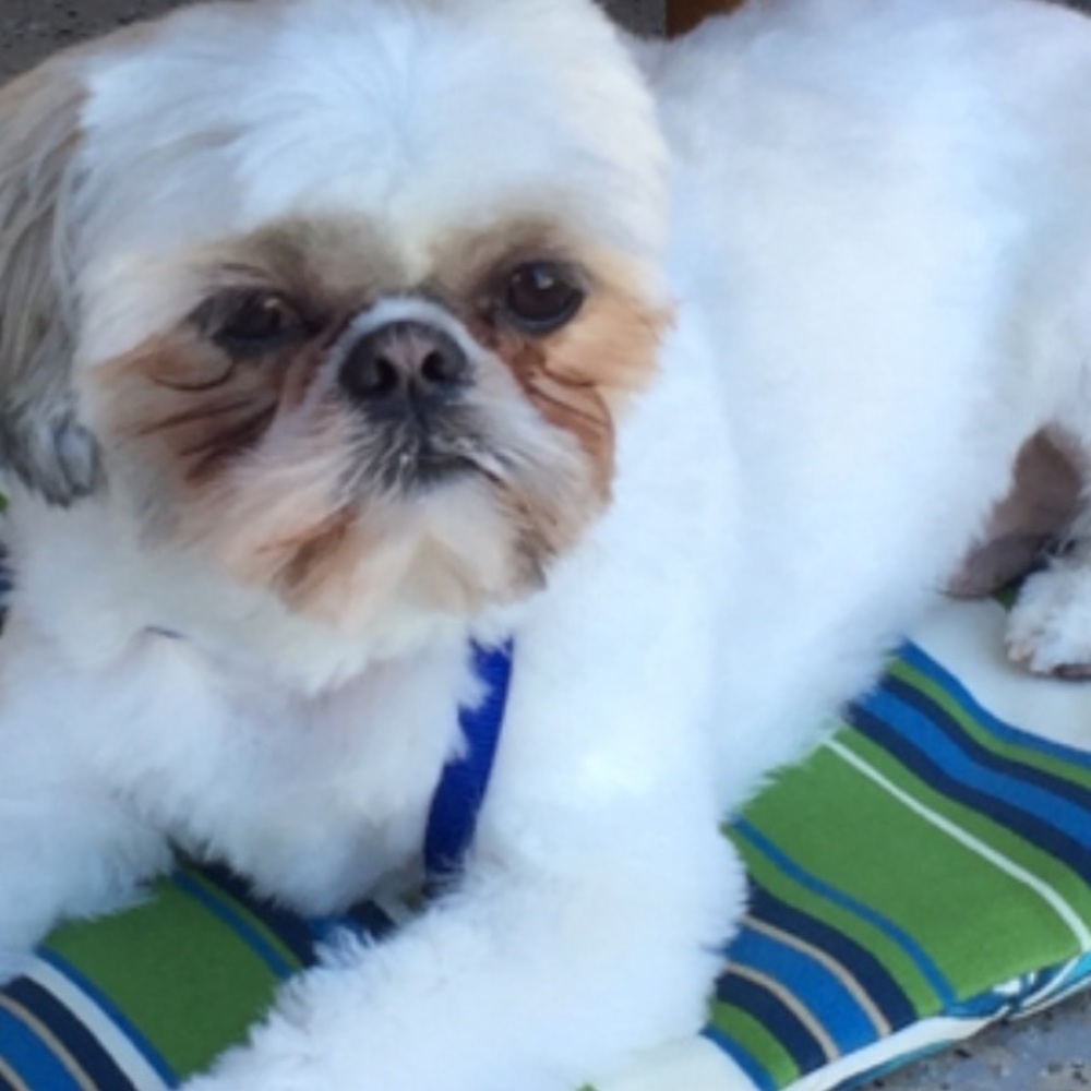 Meet your Posher, Edina