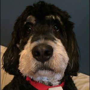 Meet your Posher, Jami