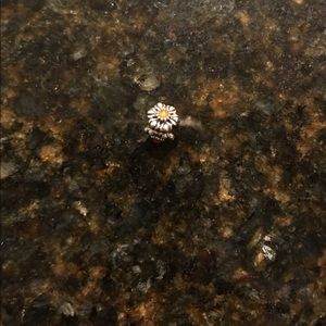 Pandora charm
