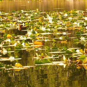 Meet your Posher, Sandy