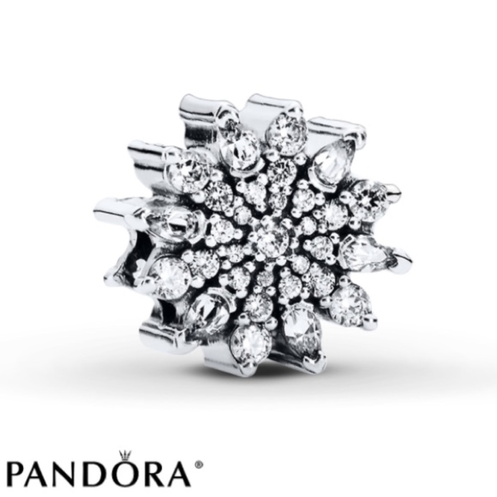 Pandora 2015 Winter Collection Snowflake ❄️ Charm