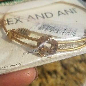 Horseshoe Alex and ani bracelet
