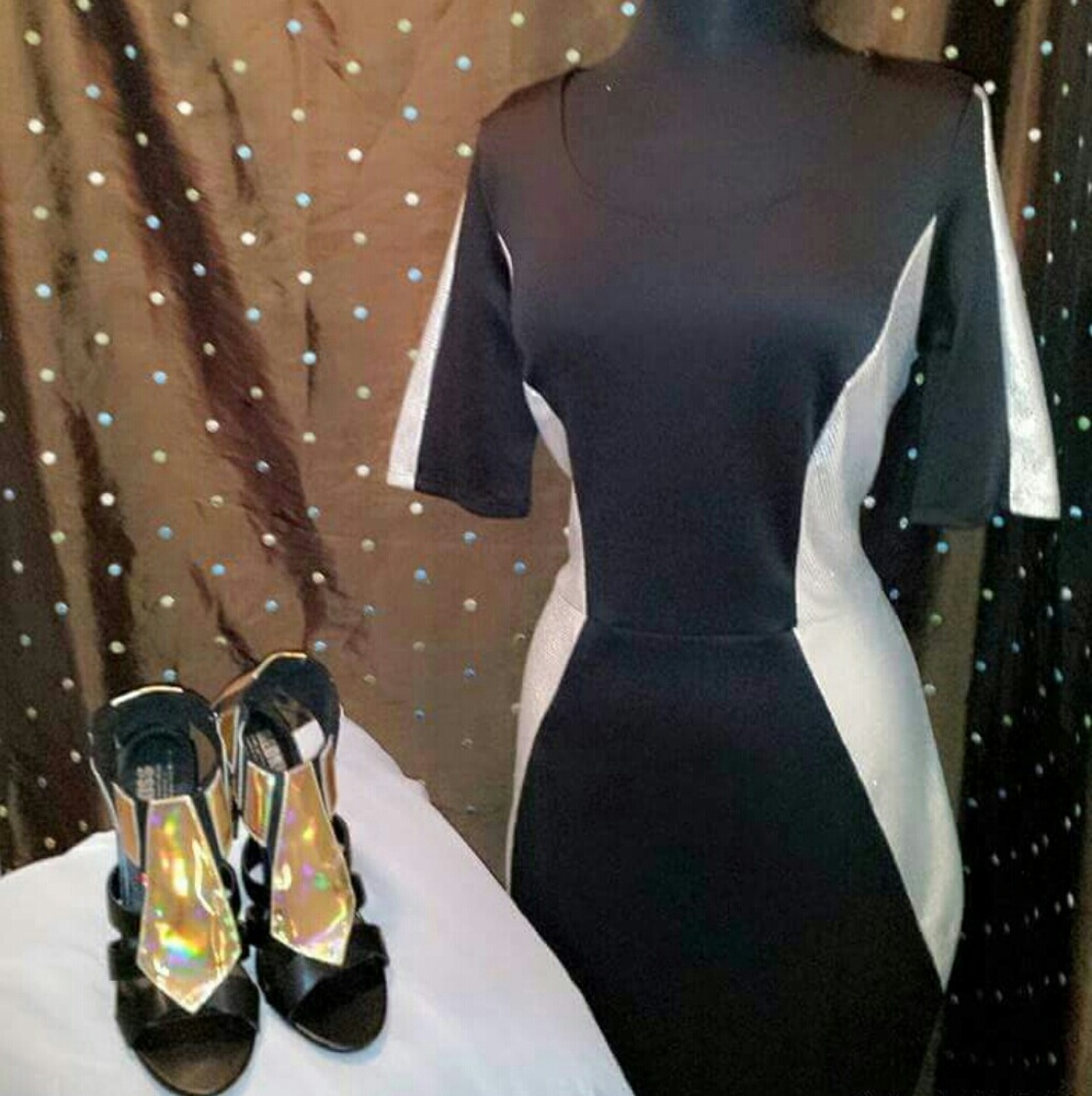 Plus Size Panel Dress