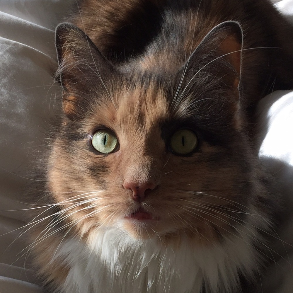 Meet your Posher, Linda