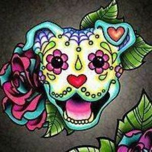 Meet your Posher, Brandy