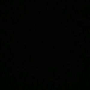 Meet your Posher, Claudia