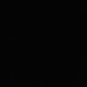 Meet your Posher, Jake