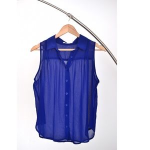 Blue Sheer top