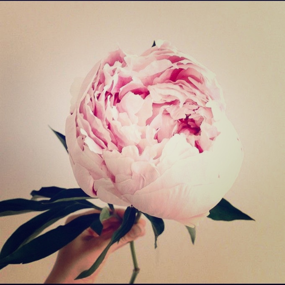 Meet your Posher, Katy